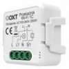 Moduł OXT mini przekaźnik 1 obwód WiFi TUYA T221